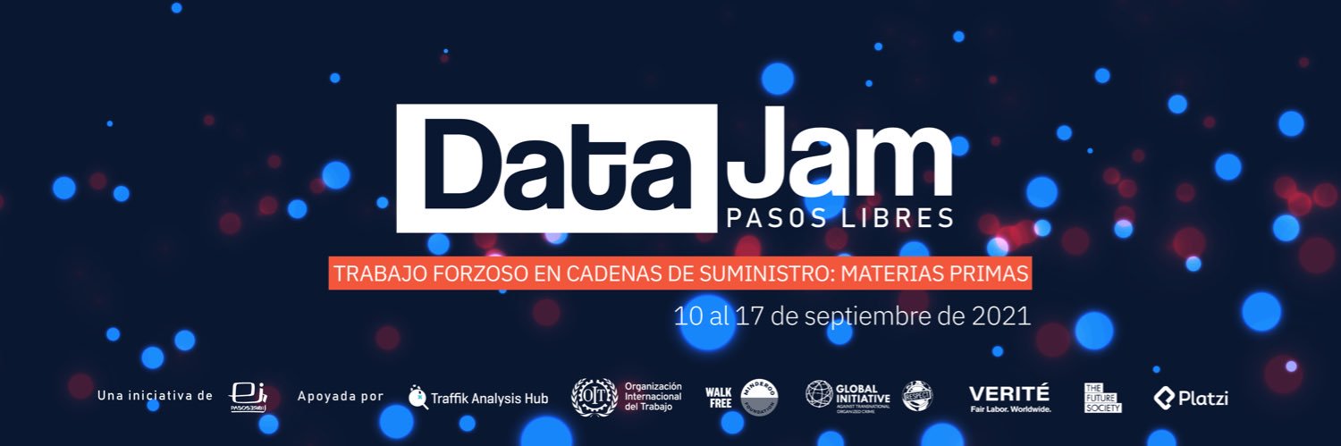 Fundación Pasos Libres banner