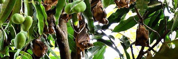 RobertWCross1 Profile Banner