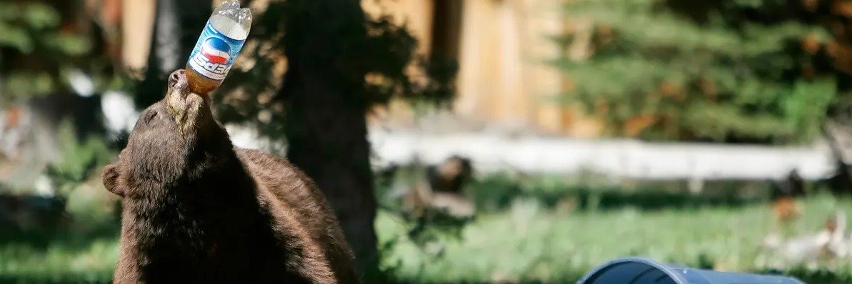 Bennybeah's profile banner image