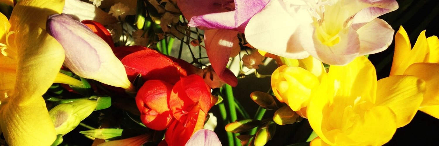 StroppyVictoria's profile banner image
