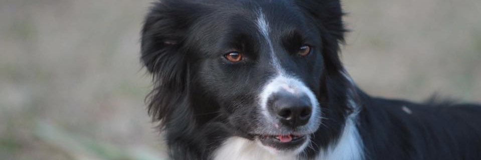 hyper_ruke's profile banner image