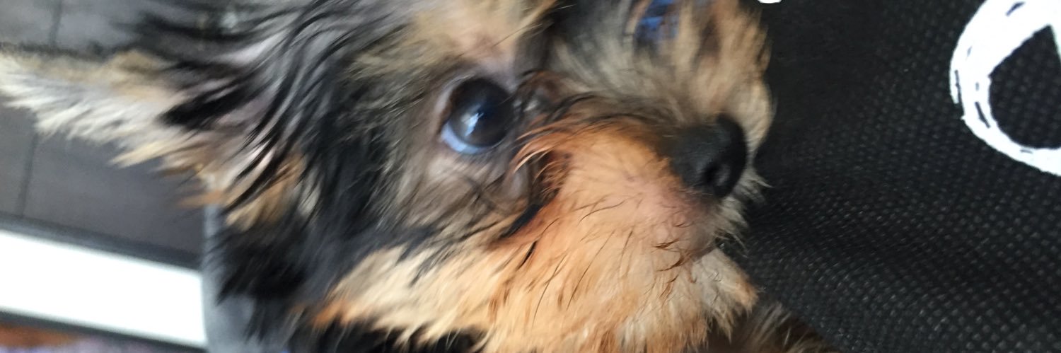 nataliacah's profile banner image