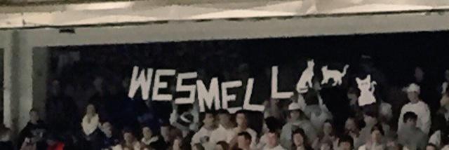MikeFelber1's profile banner image