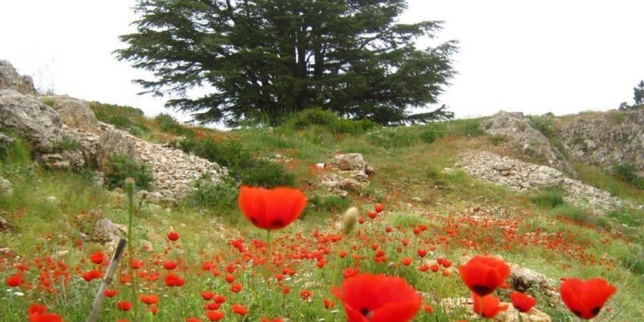 AbSaad2013's profile banner image