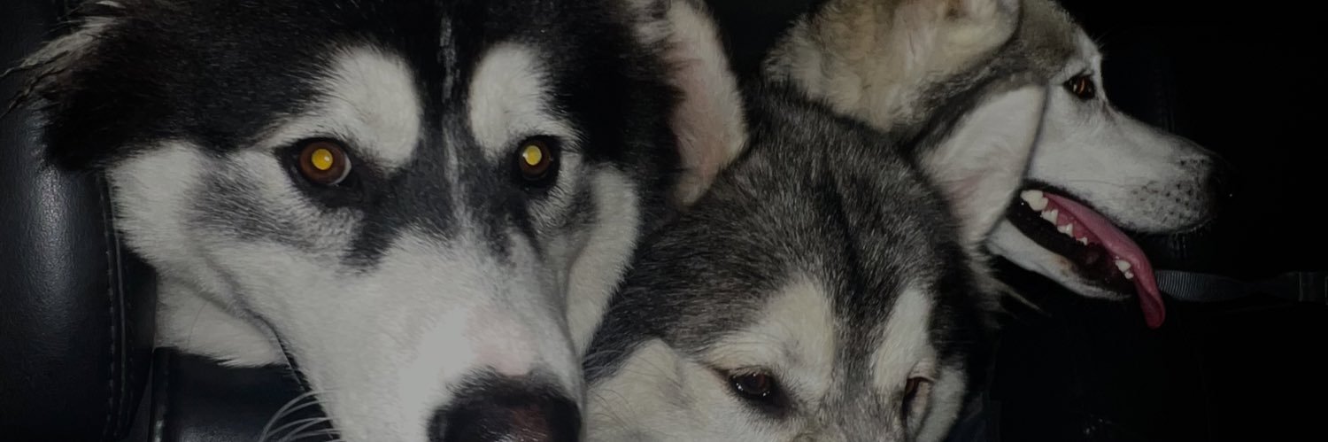 Chata_30's profile banner image
