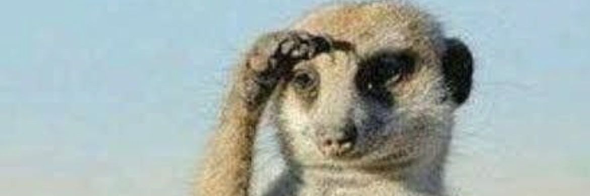 BobsPlaceNoBS's profile banner image