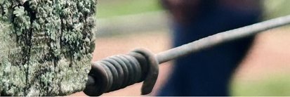 🚜 Dinámica Rural 🔊 690 AM banner