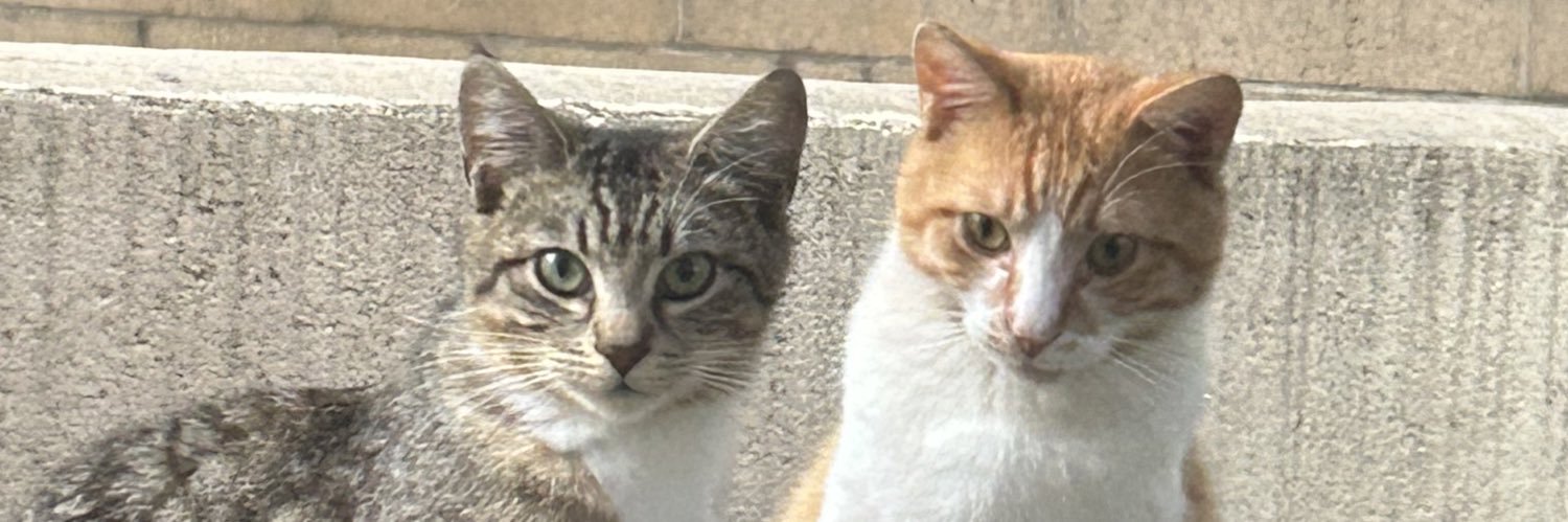 KEITH LOVES TWICE banner