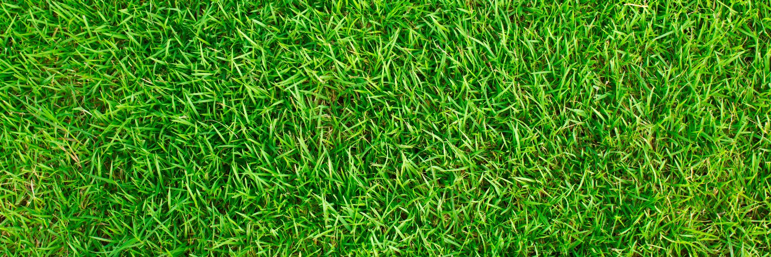 jfdiazgreene's profile banner image