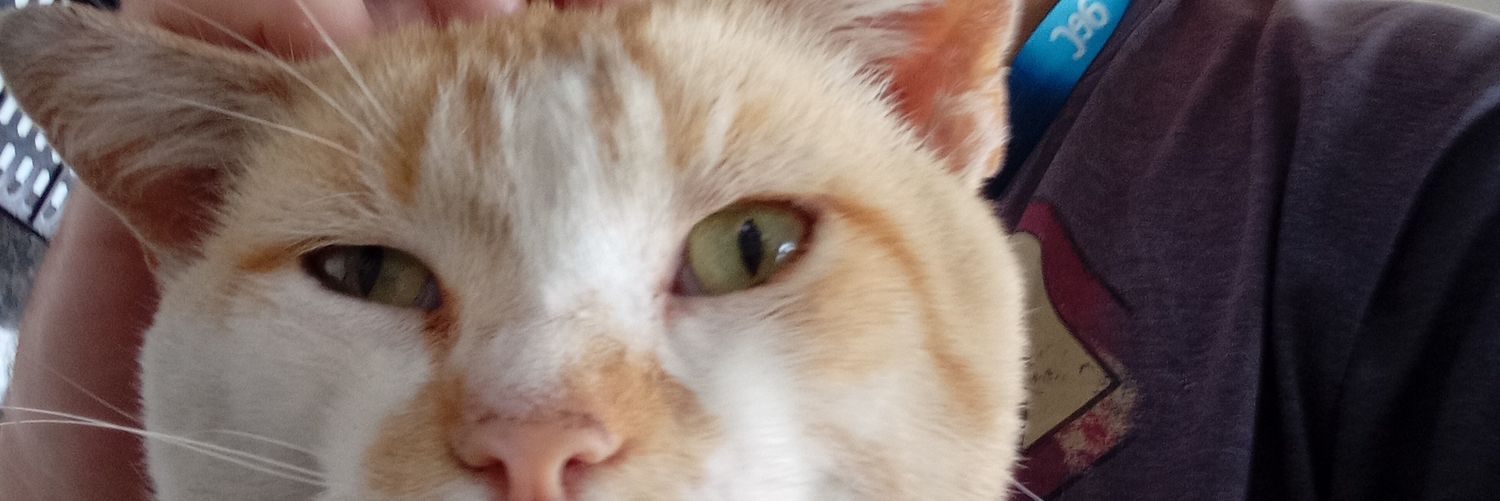 FernaLuks's profile banner image