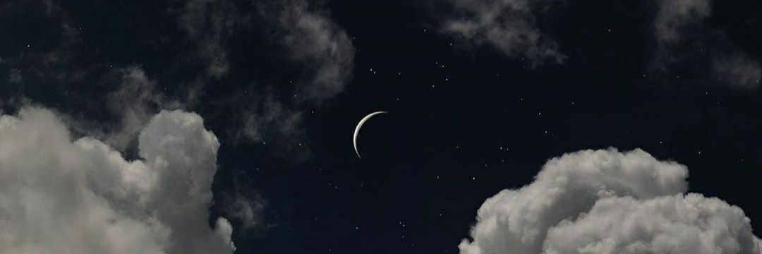 MsMunchkinater's profile banner image
