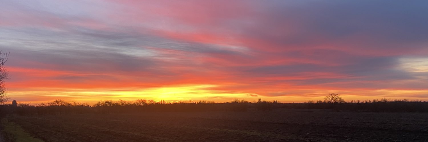 Matthew Winn ن banner