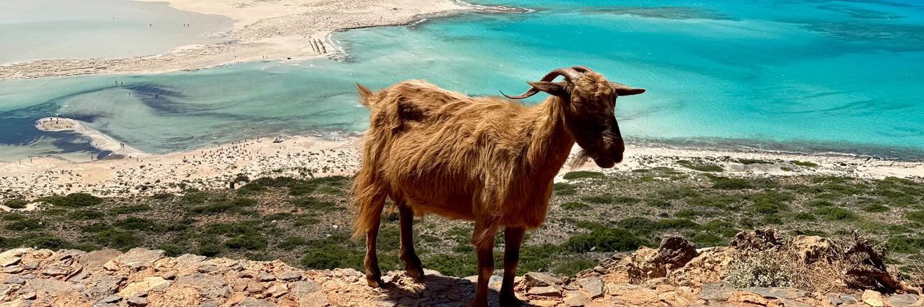 Capri-seun 🐐 banner