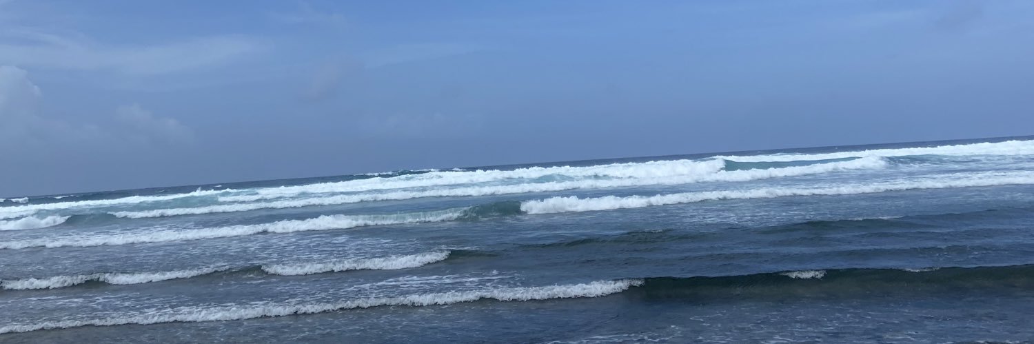 dani_buri's profile banner image