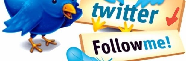 UN TIP banner