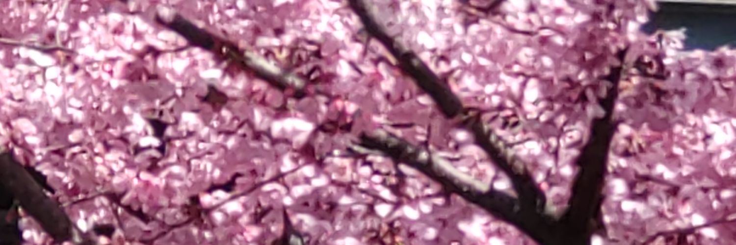 tedmom66's profile banner image