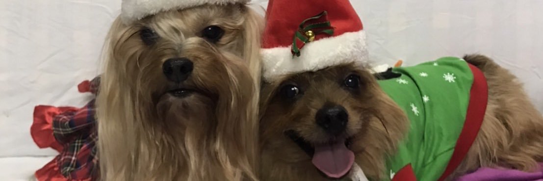 เล่ามา 🐶 banner