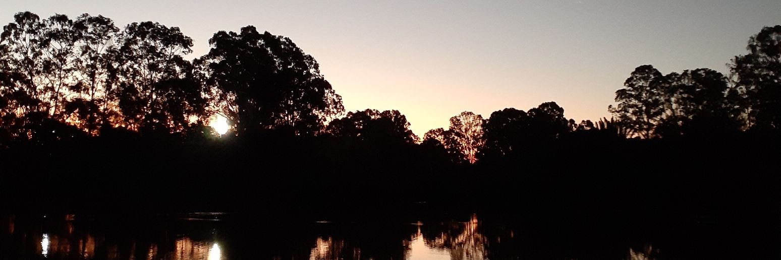 damnthattaylor's profile banner image