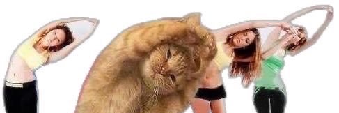 betterbabey's profile banner image