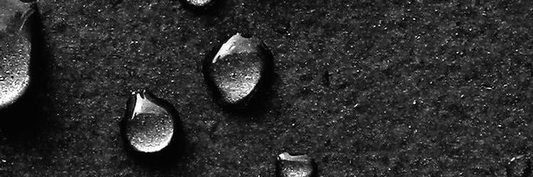 Sandra Nejj♡'s banner