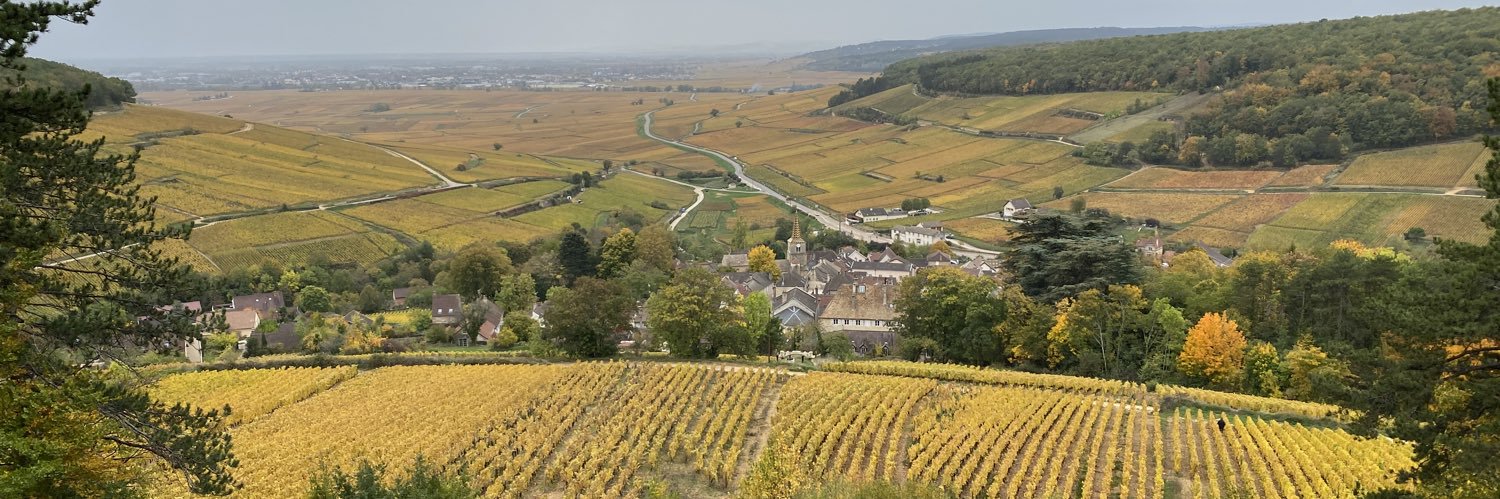 Stephen Clapp banner