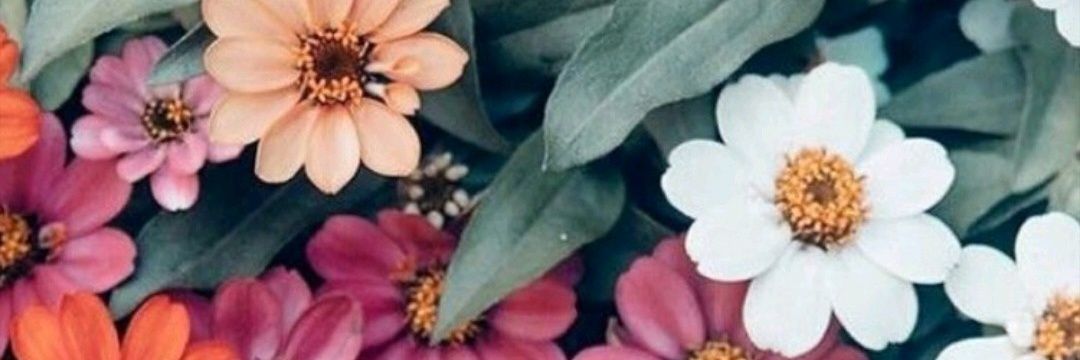 majee96's profile banner image