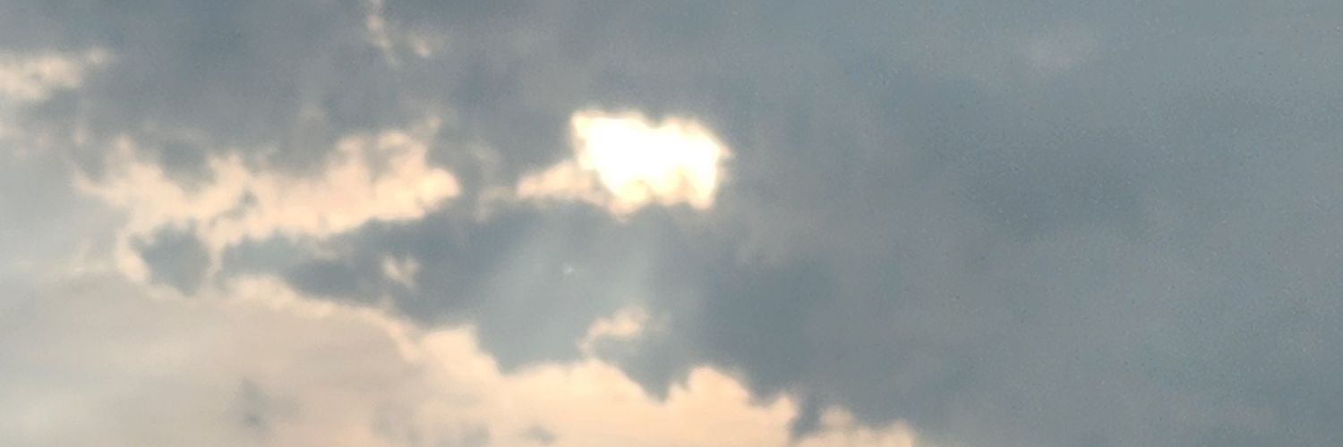 oops_oui's profile banner image