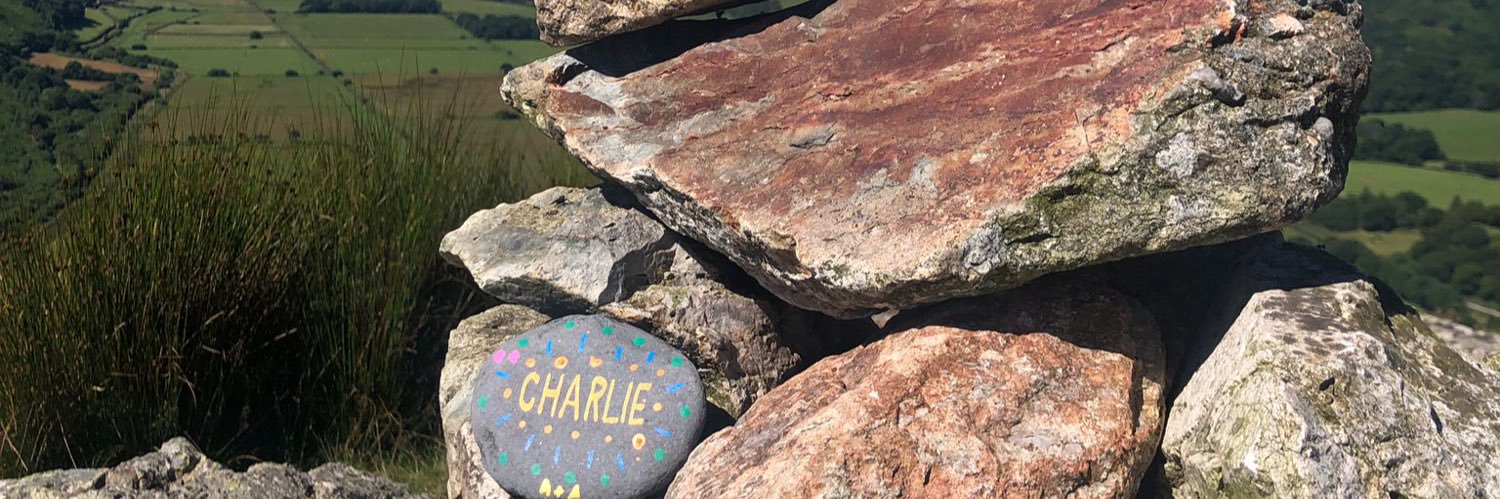 April Ferraro banner