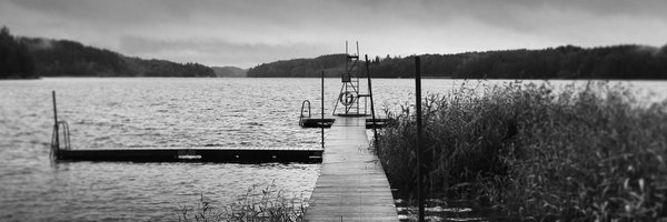 vickih Profile Banner