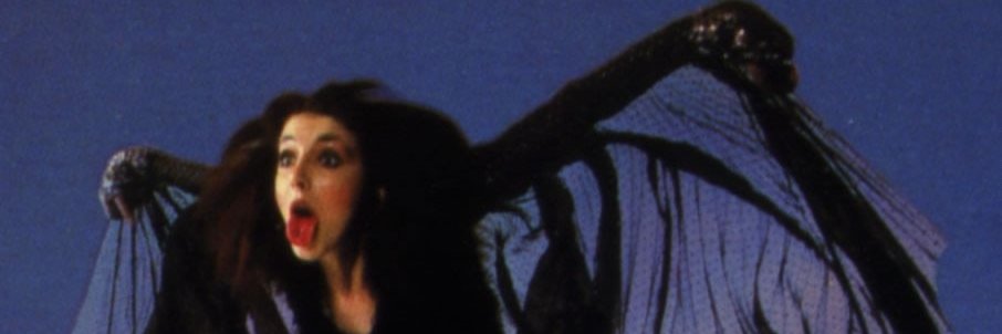 LookHewittIs's profile banner image