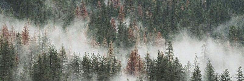 justababex's profile banner image