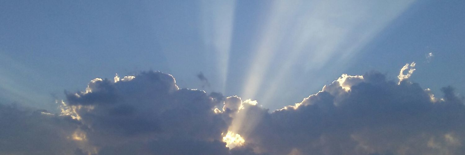 careyt's profile banner image