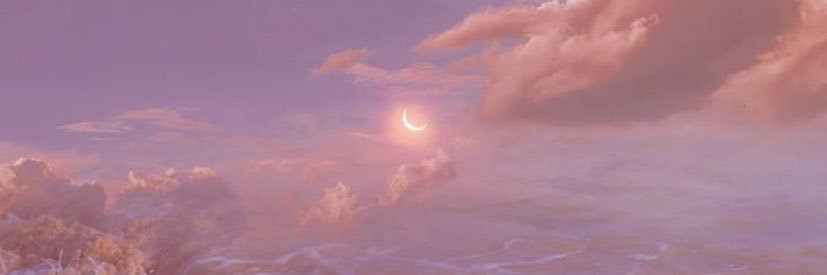 V🦂's banner