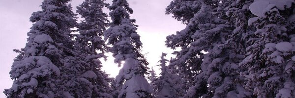 DougSalch Profile Banner