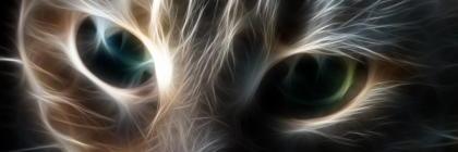 PrinceOfSarcasm's profile banner image