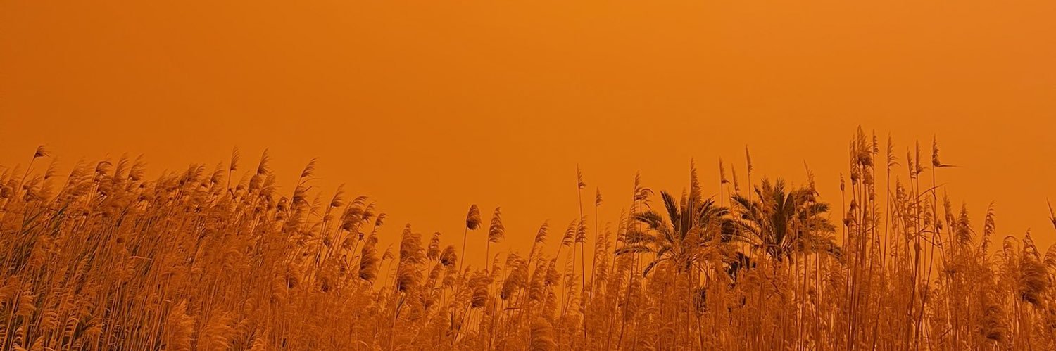 MonyLanzagorta's profile banner image