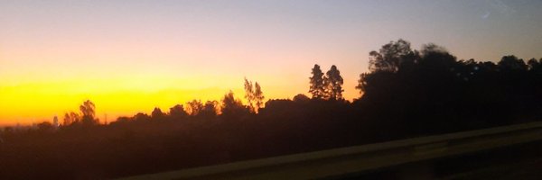 psycho_sax Profile Banner