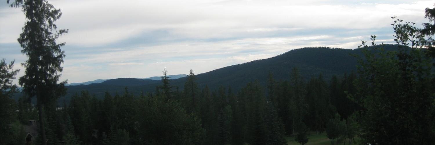 Chris Cornutt banner