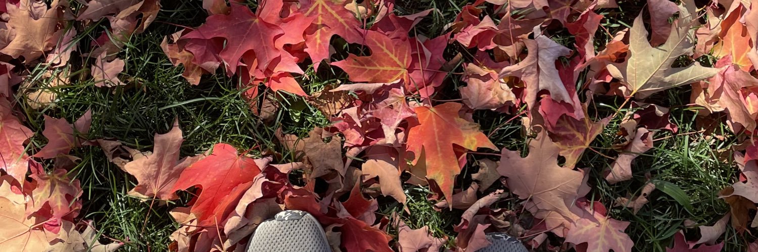 carolyne__'s profile banner image