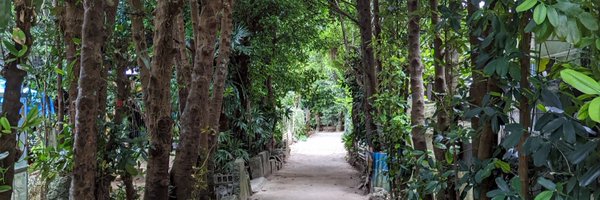 0x_Shin_Crypto Profile Banner