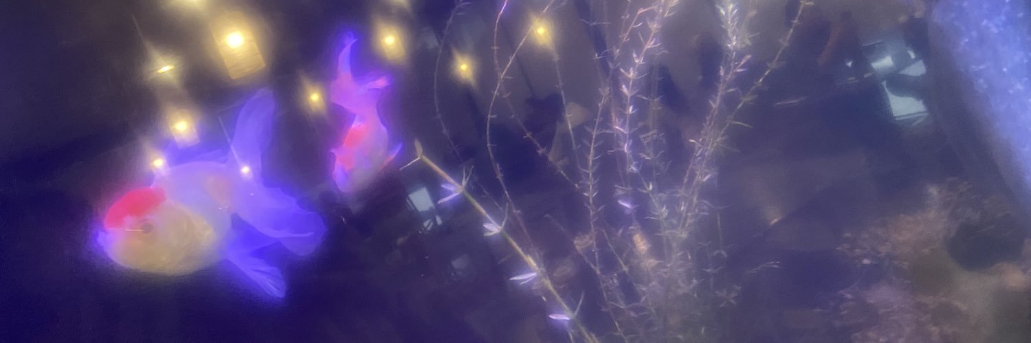 444crys's profile banner image