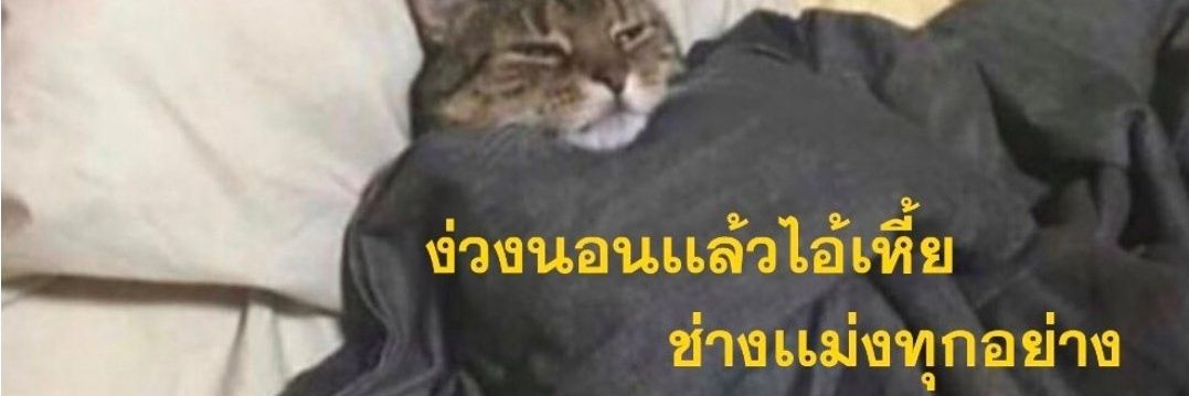 🌕 luna wa ja mi toxic banner