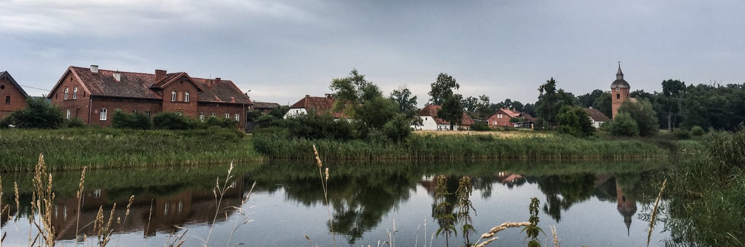 Bartosz Brzeziński banner