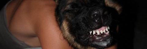 cri_clau's profile banner image