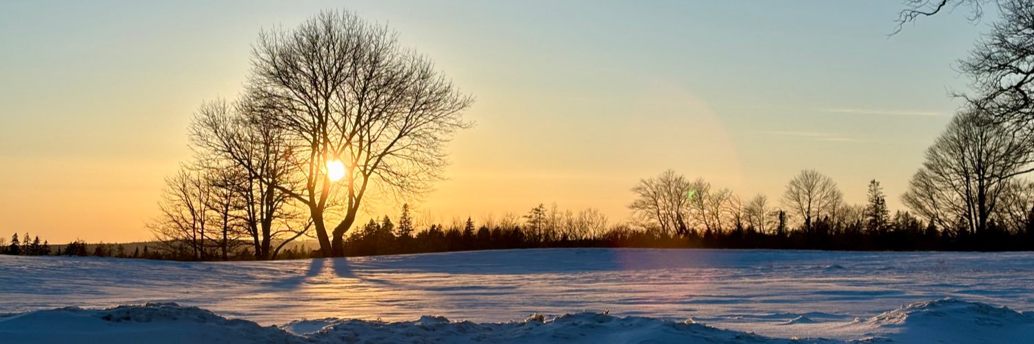 Jill Stewart 💐 banner
