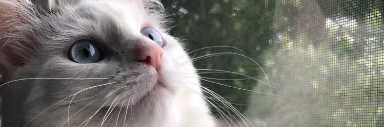 AlexaJessicaV's profile banner image