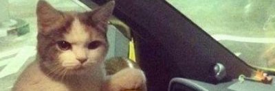 BasedArk's profile banner image