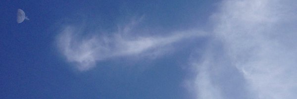 MagnusFlatus Profile Banner