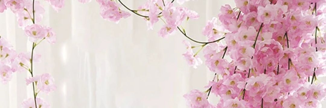 AlanoudAljerisy's profile banner image