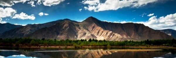 DonAvisos Profile Banner